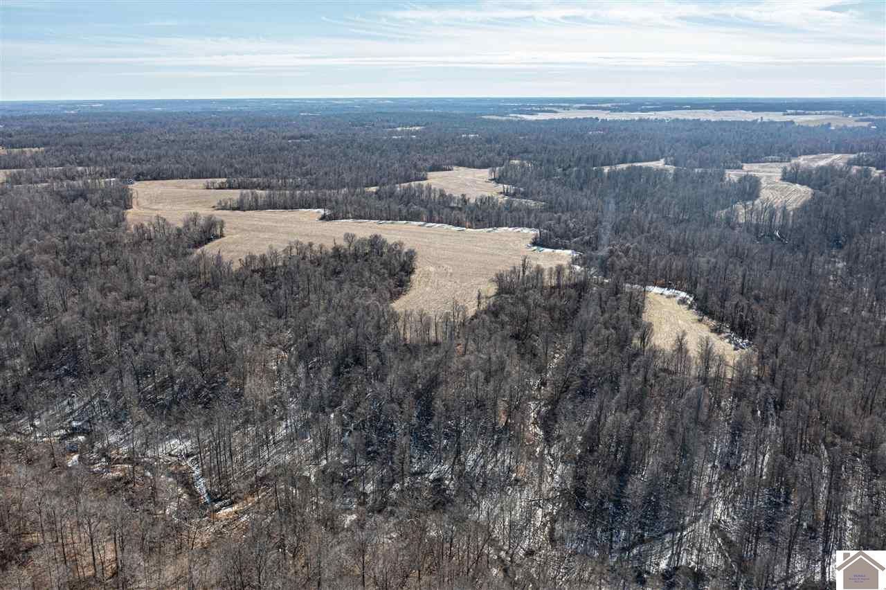 Bardwell, Carlisle County, KY Farms and Ranches, Hunting Property for