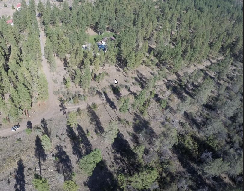 Bonanza, Klamath County, OR Timberland Property, Undeveloped Land