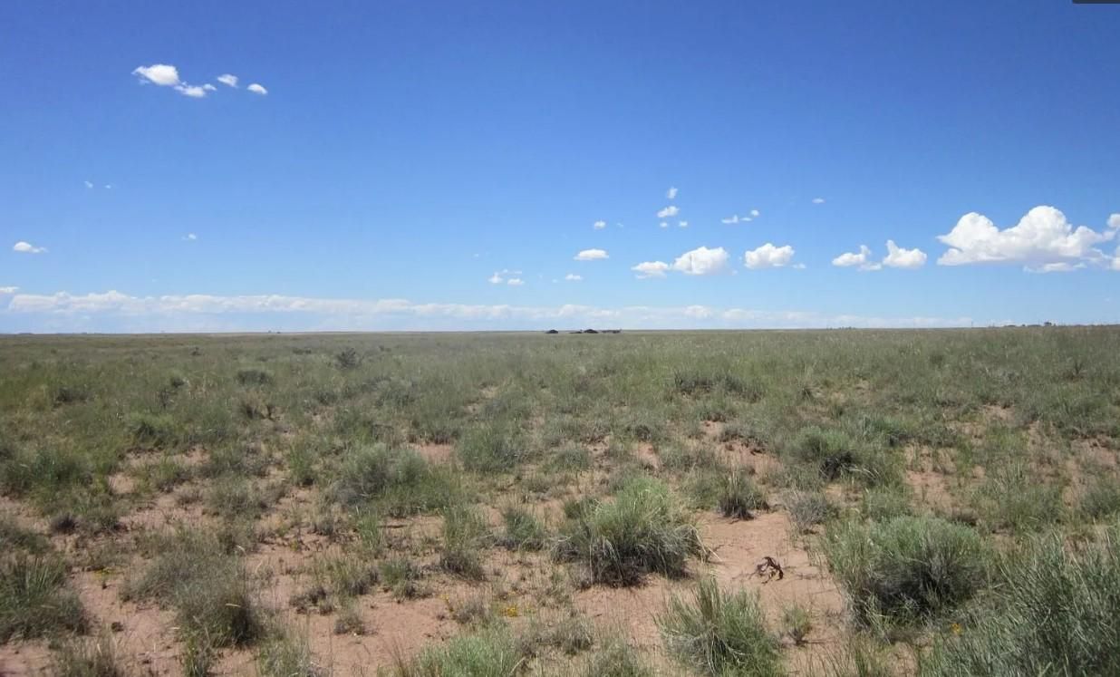 1.25 acres in Holbrook, AZ, 86025 MLS 10511081 LandWatch