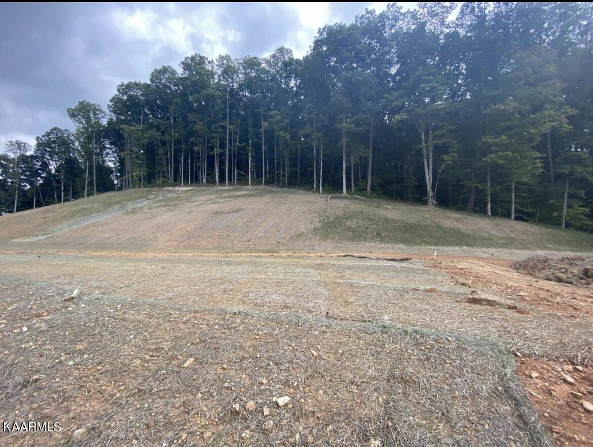 Knoxville, Knox County, TN Undeveloped Land, Homesites for sale