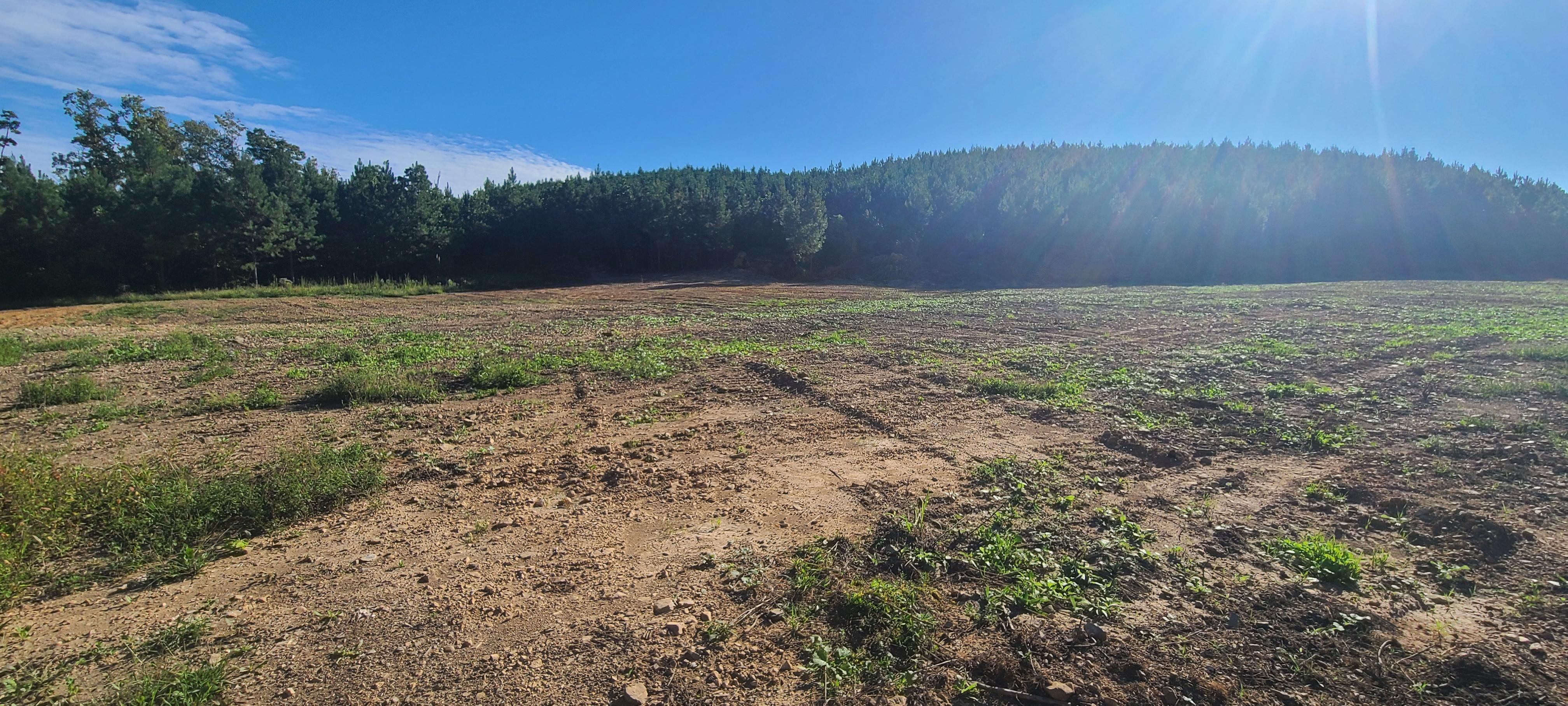 Big Sandy, Benton County, TN Farms and Ranches, Timberland Property