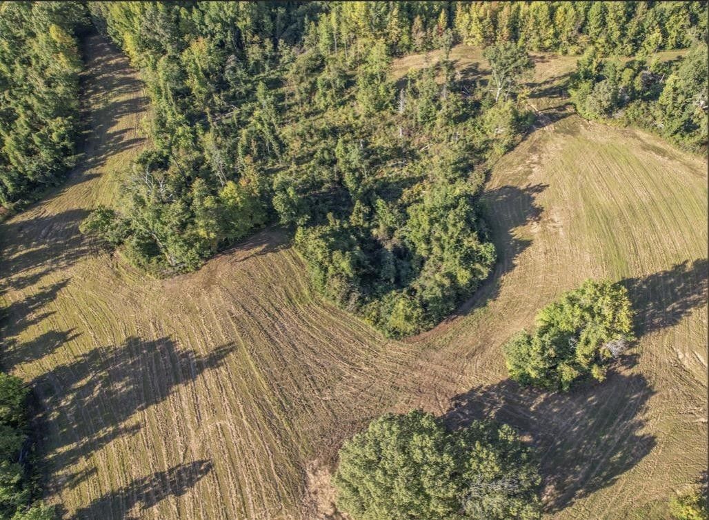 Ripley, Lauderdale County, TN Undeveloped Land for sale Property ID