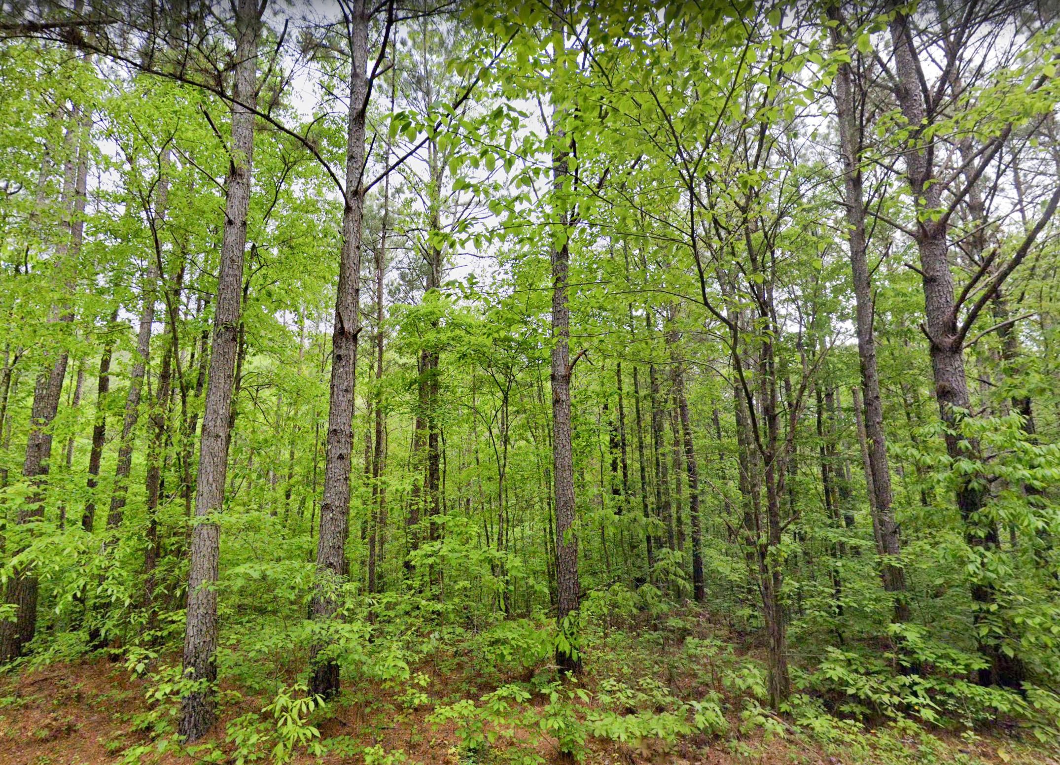 Cordova, Walker County, AL Recreational Property, Horse Property for