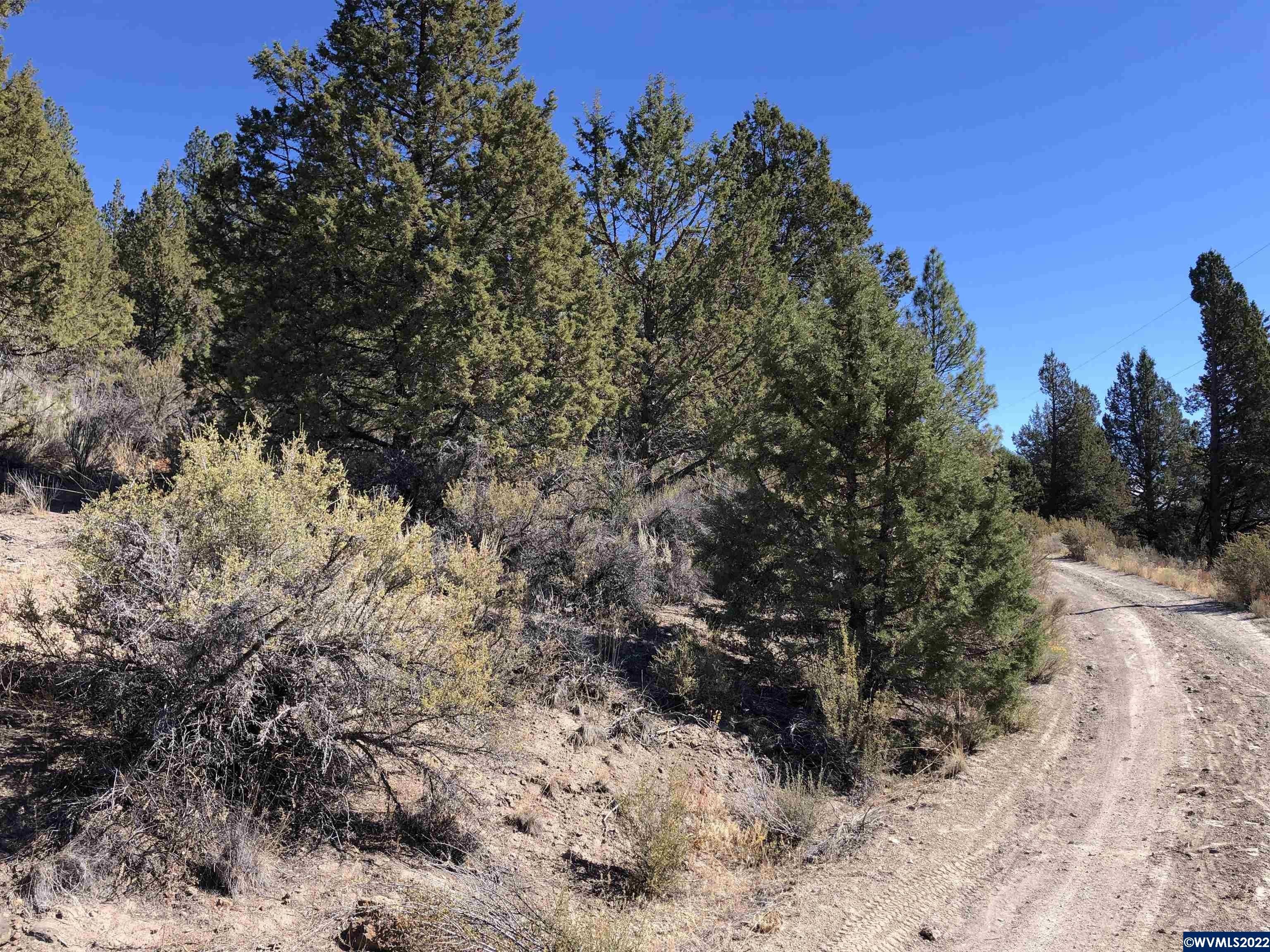 Sprague River, Klamath County, OR Undeveloped Land, Homesites for sale