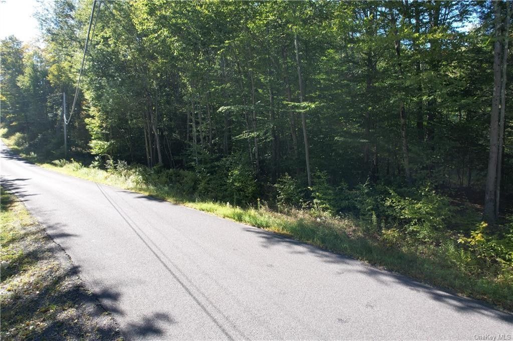 Fallsburg, Sullivan County, NY Undeveloped Land for sale Property ID