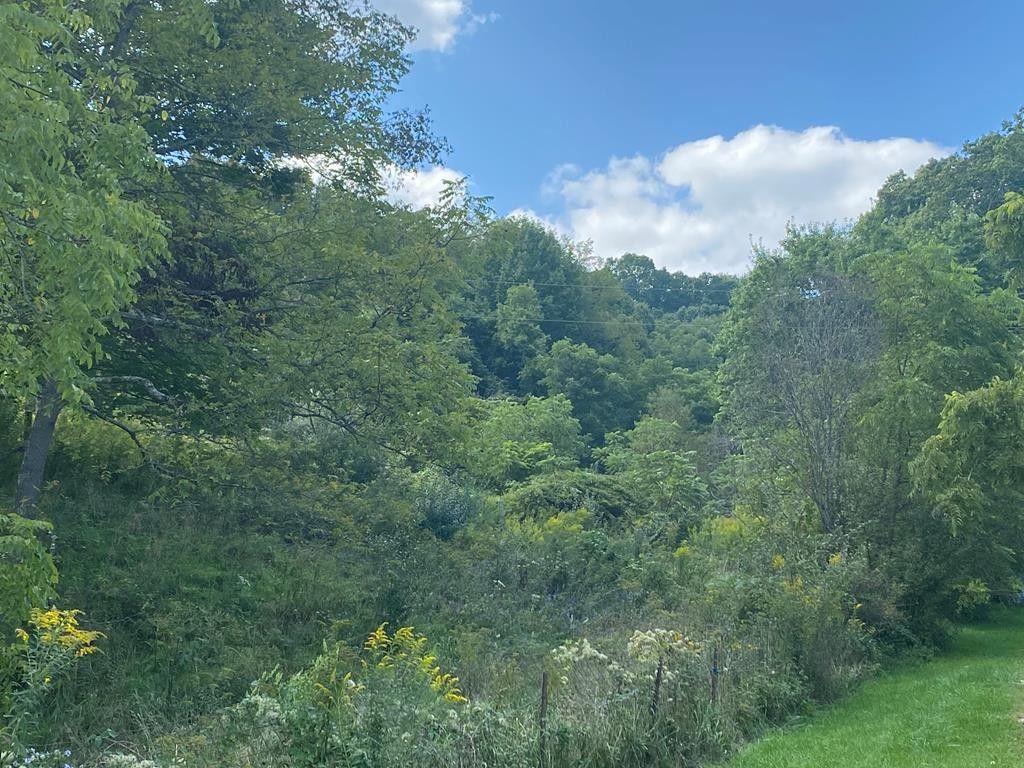 Bluefield, Tazewell County, VA Farms and Ranches for sale Property ID