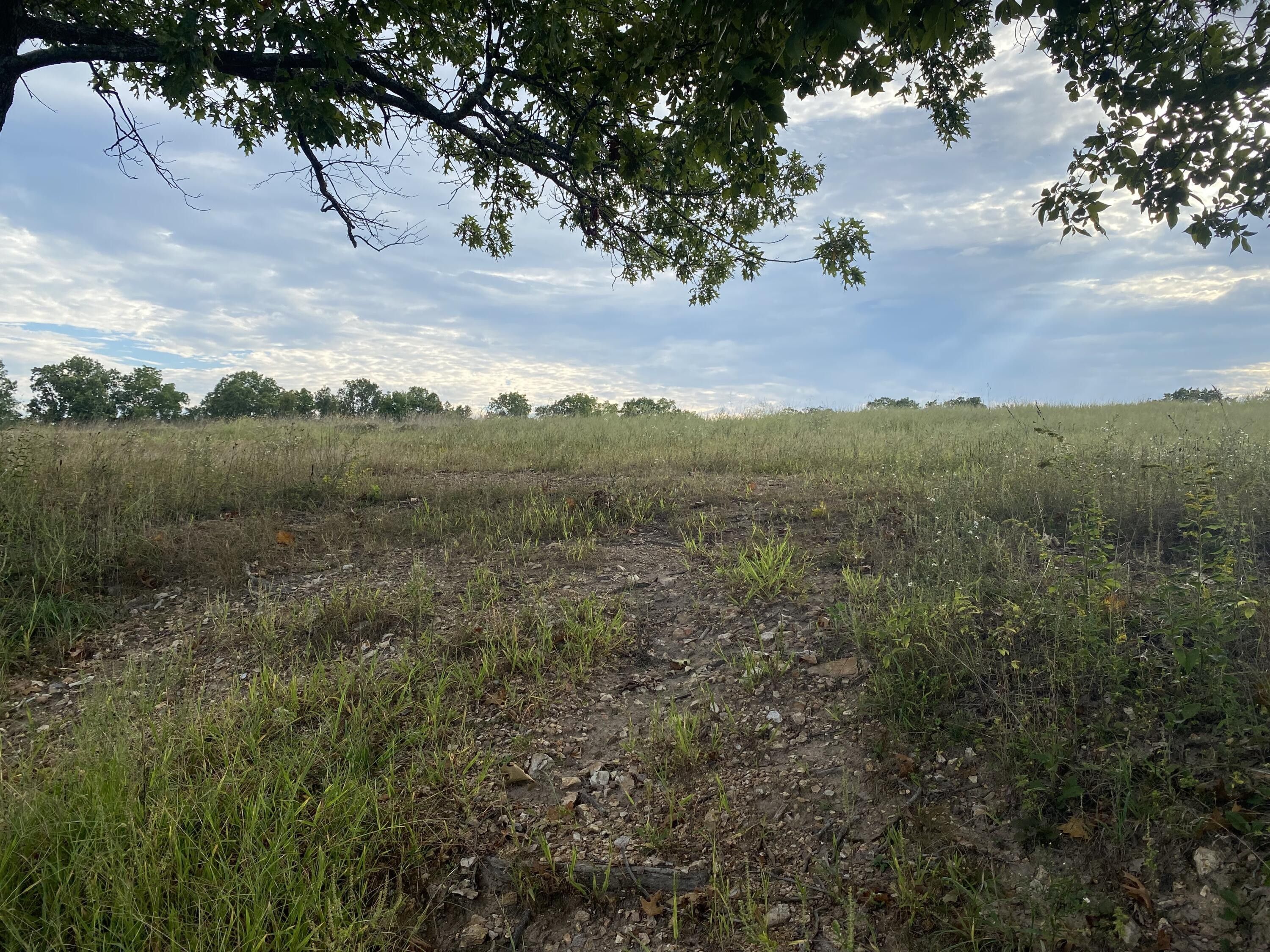 Hartville, Wright County, MO Farms and Ranches for sale Property ID 414961215 LandWatch