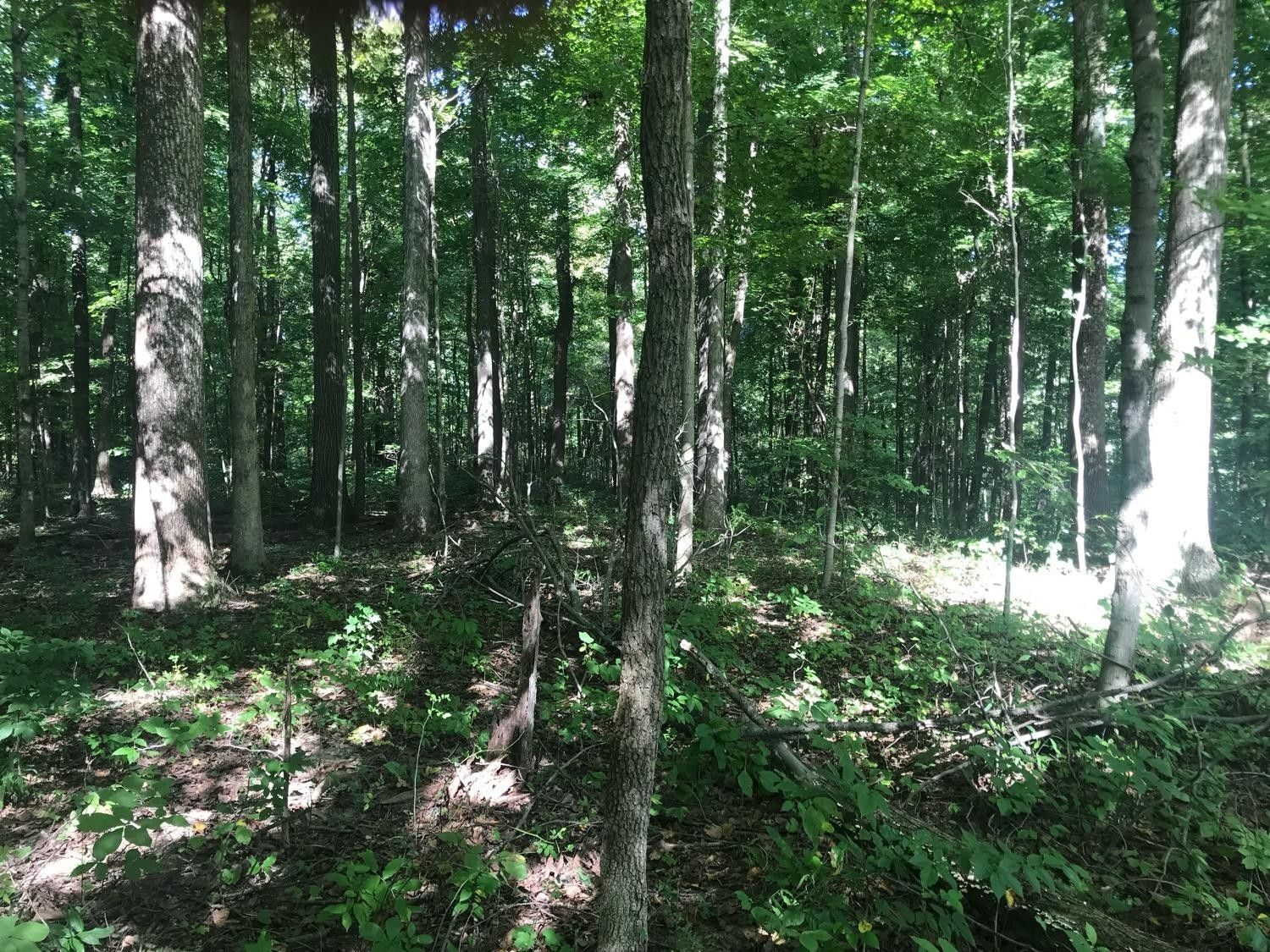 Oldenburg, Franklin County, IN Undeveloped Land for sale Property ID