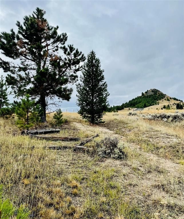 Butte, Silver Bow County, MT Undeveloped Land, Homesites for sale