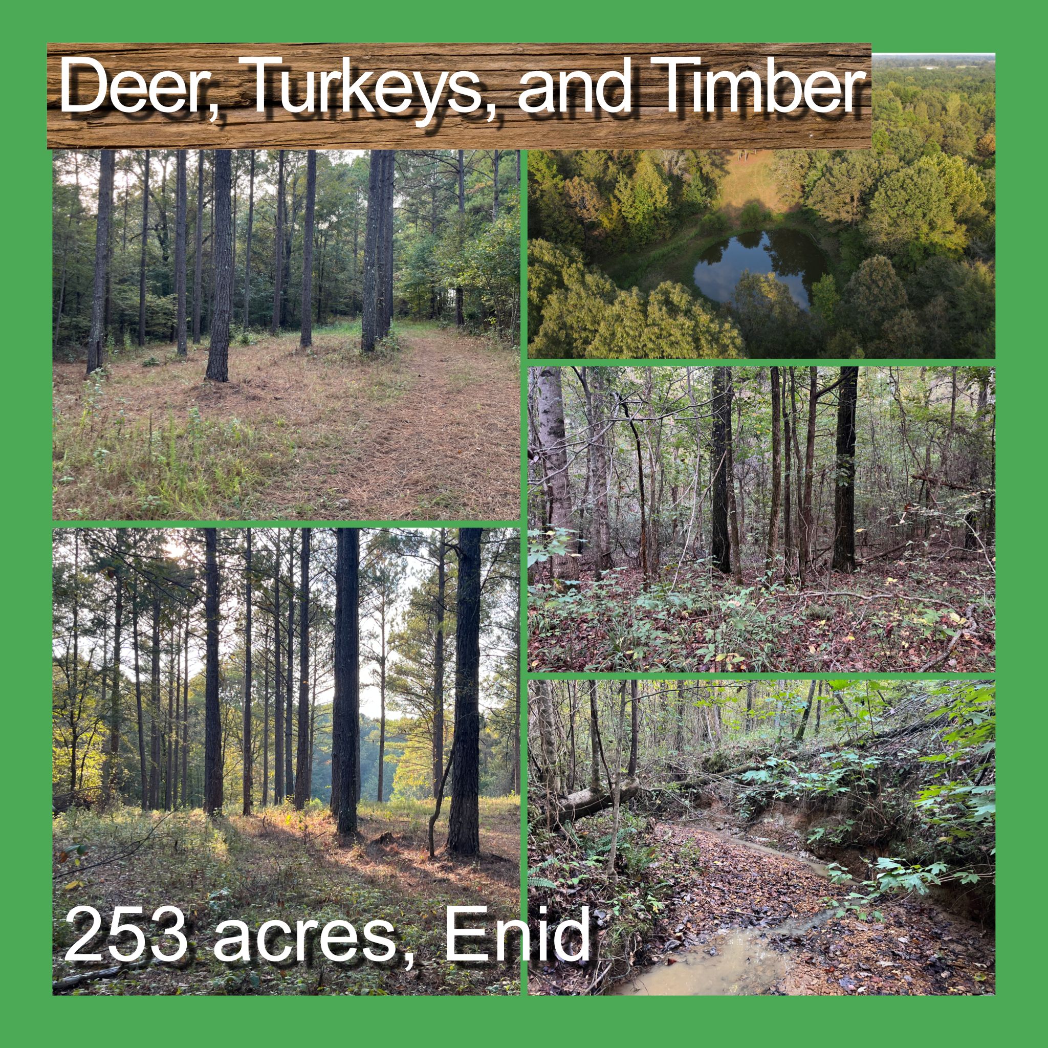 Enid, Tallahatchie County, MS Recreational Property, Timberland