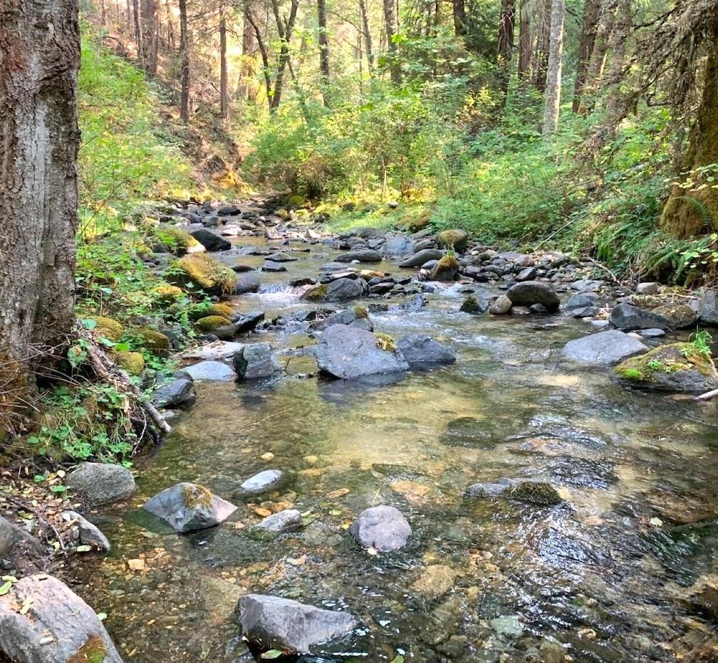 Fraser, Grand County, CO Recreational Property for sale Property ID