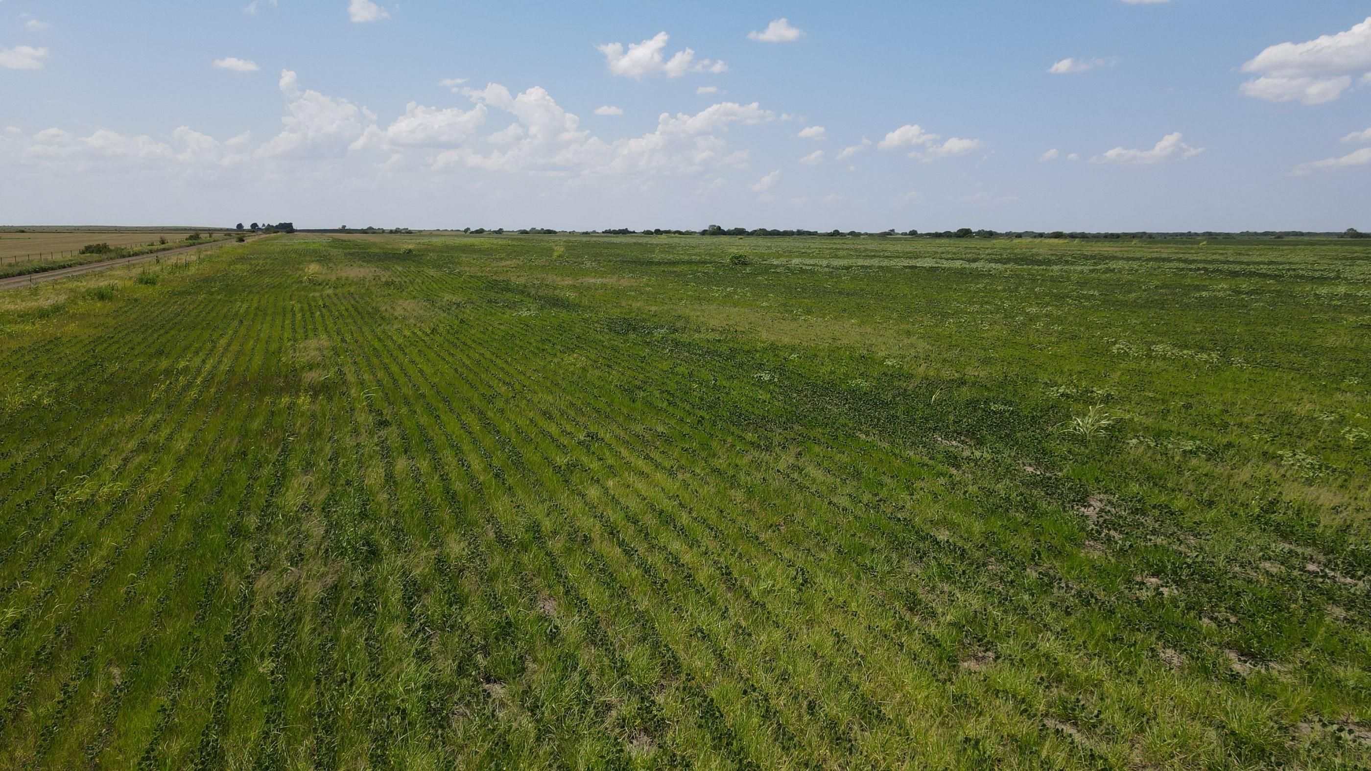 Hartford, Lyon County, KS Undeveloped Land for auction Property ID
