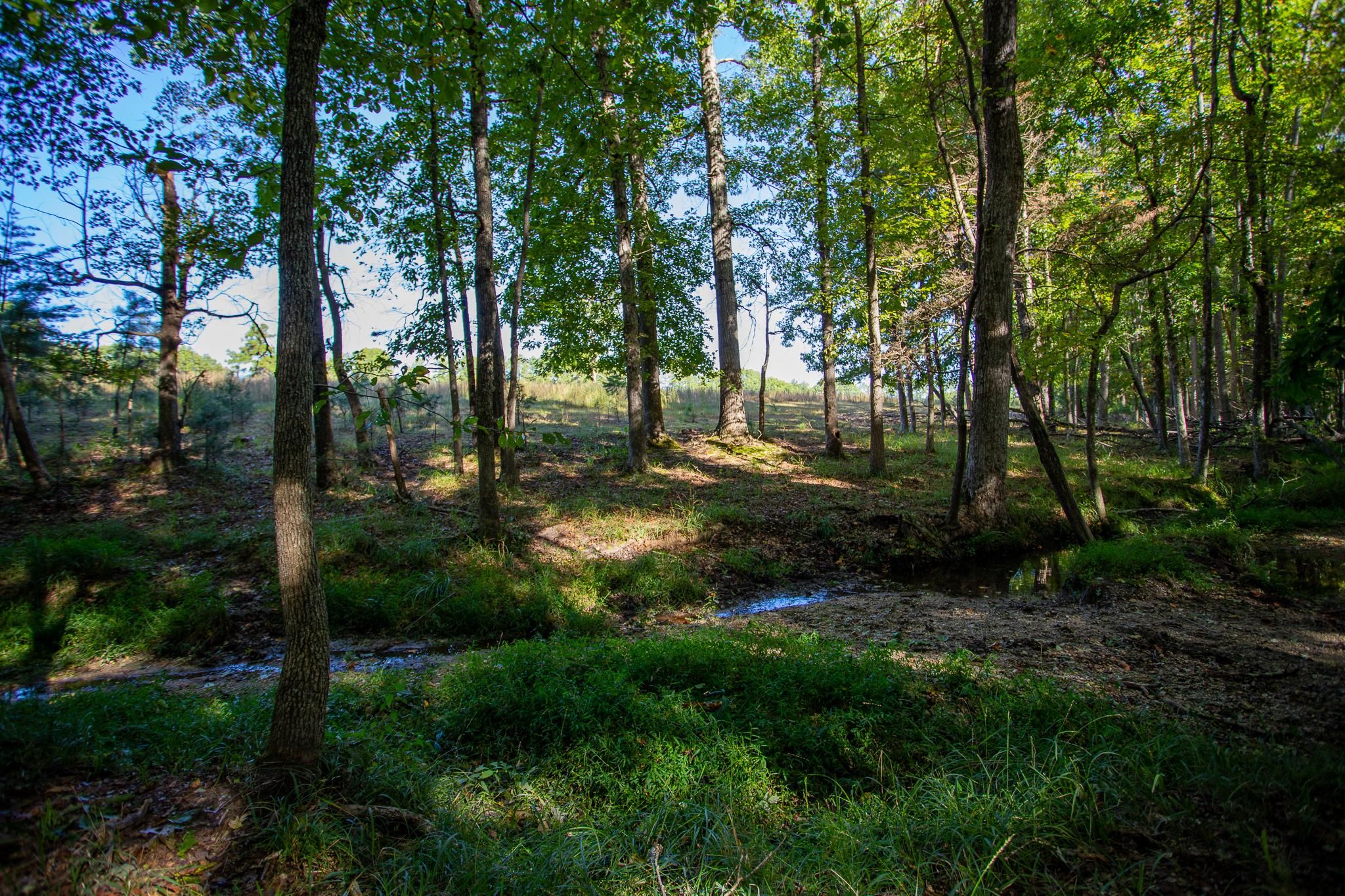Brookneal, Campbell County, VA Recreational Property, Hunting Property
