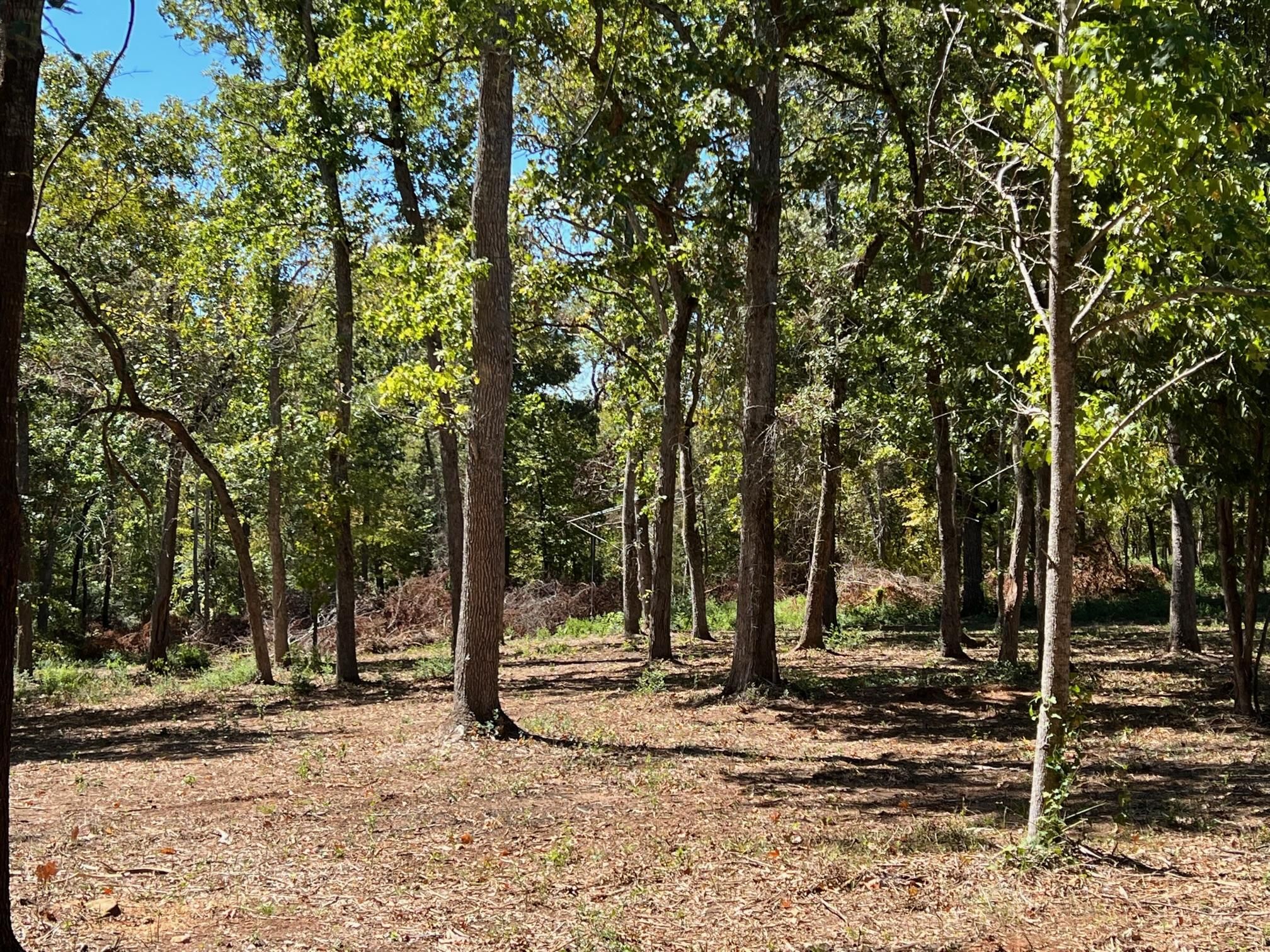 Centerville, Leon County, TX Recreational Property for sale Property ID