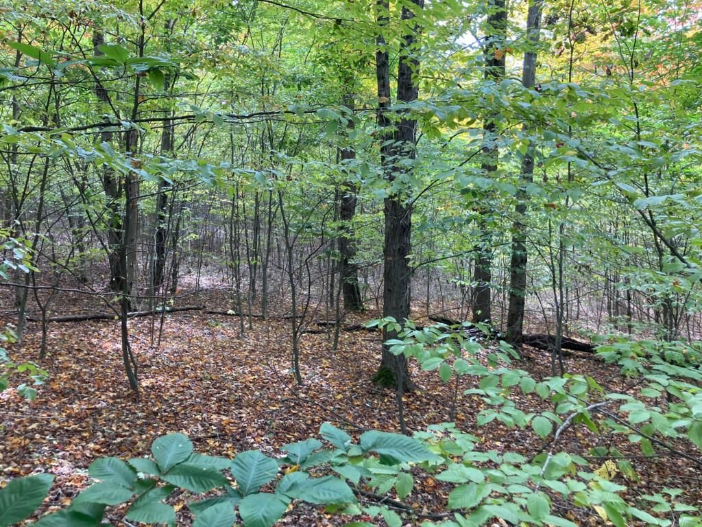 Windsor, Broome County, NY Recreational Property, Hunting Property for