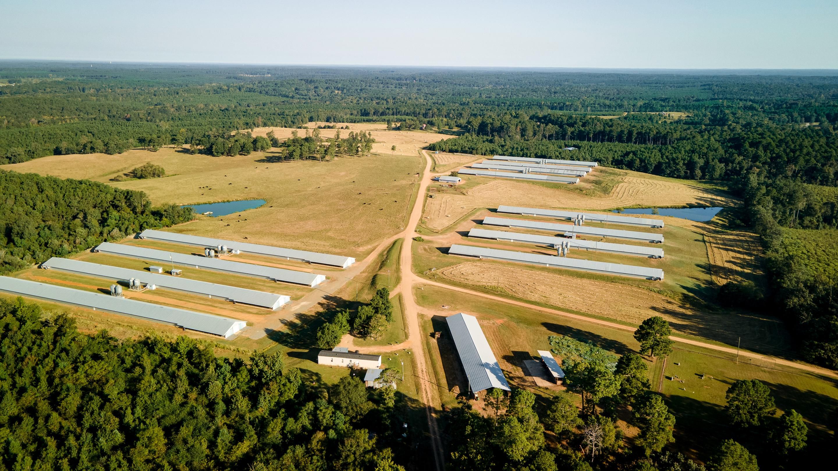 Farmerville, Union Parish, LA Farms and Ranches, Commercial Property