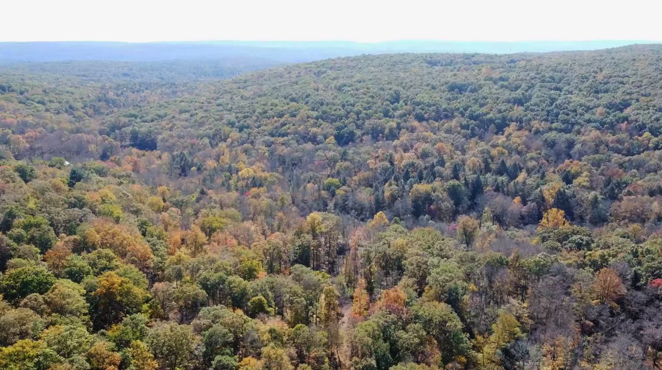 Bushkill, Pike County, PA Recreational Property, Undeveloped Land