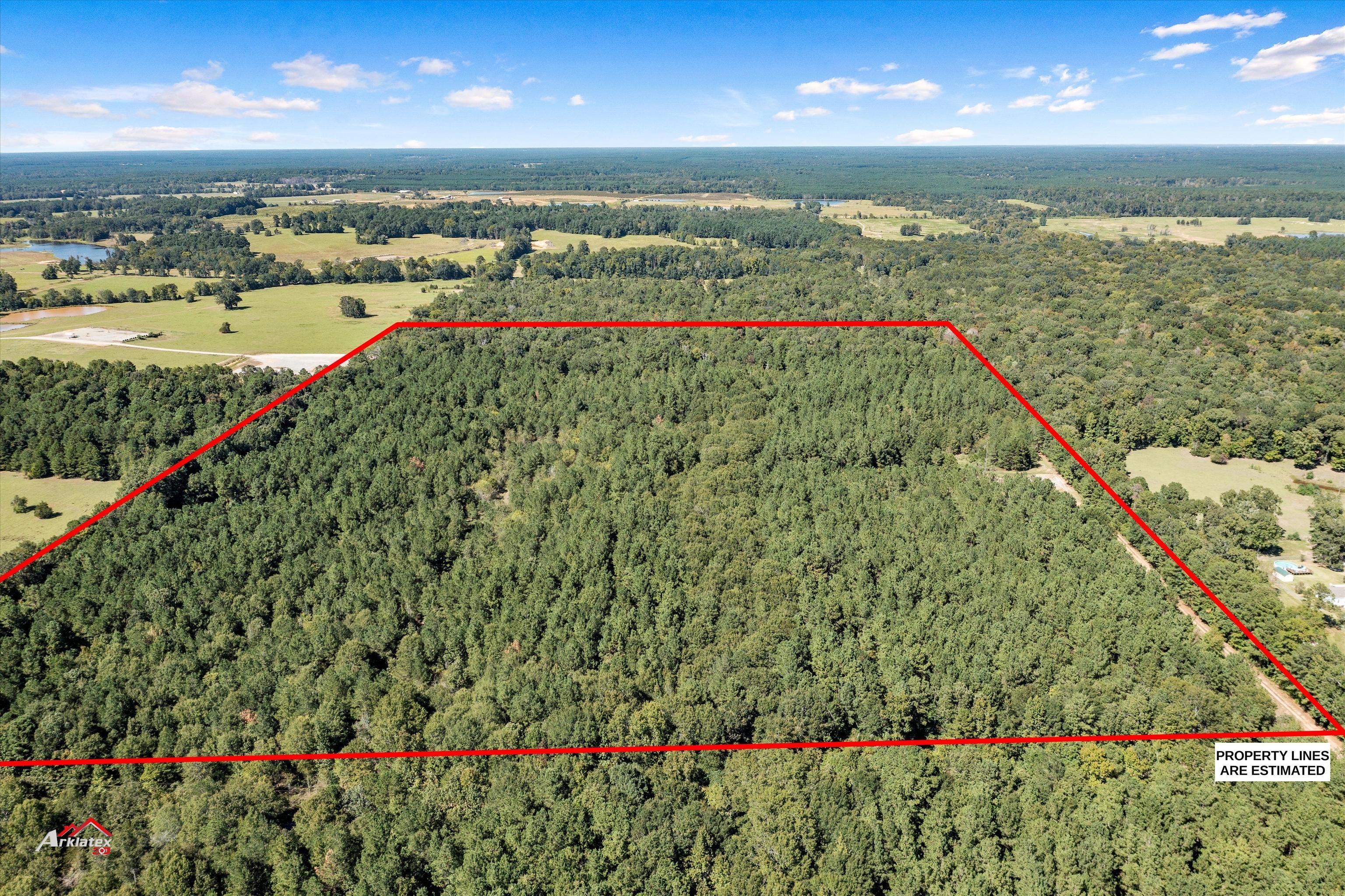 De Berry, Panola County, TX Recreational Property, Timberland Property