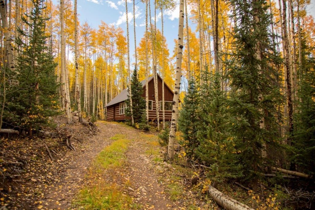 Creede, Mineral County, CO Timberland Property, Hunting Property, House