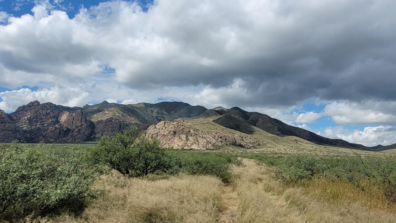 Cochise, Cochise County, AZ Recreational Property, Undeveloped Land