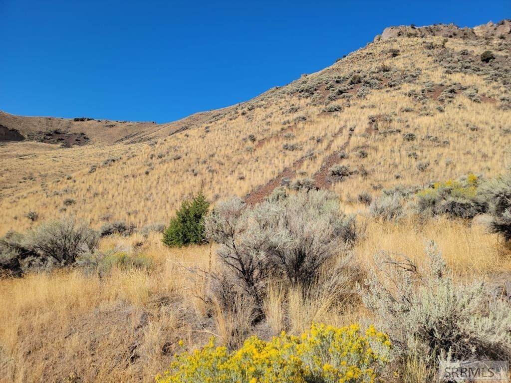 Salmon, Lemhi County, ID Undeveloped Land, Lakefront Property