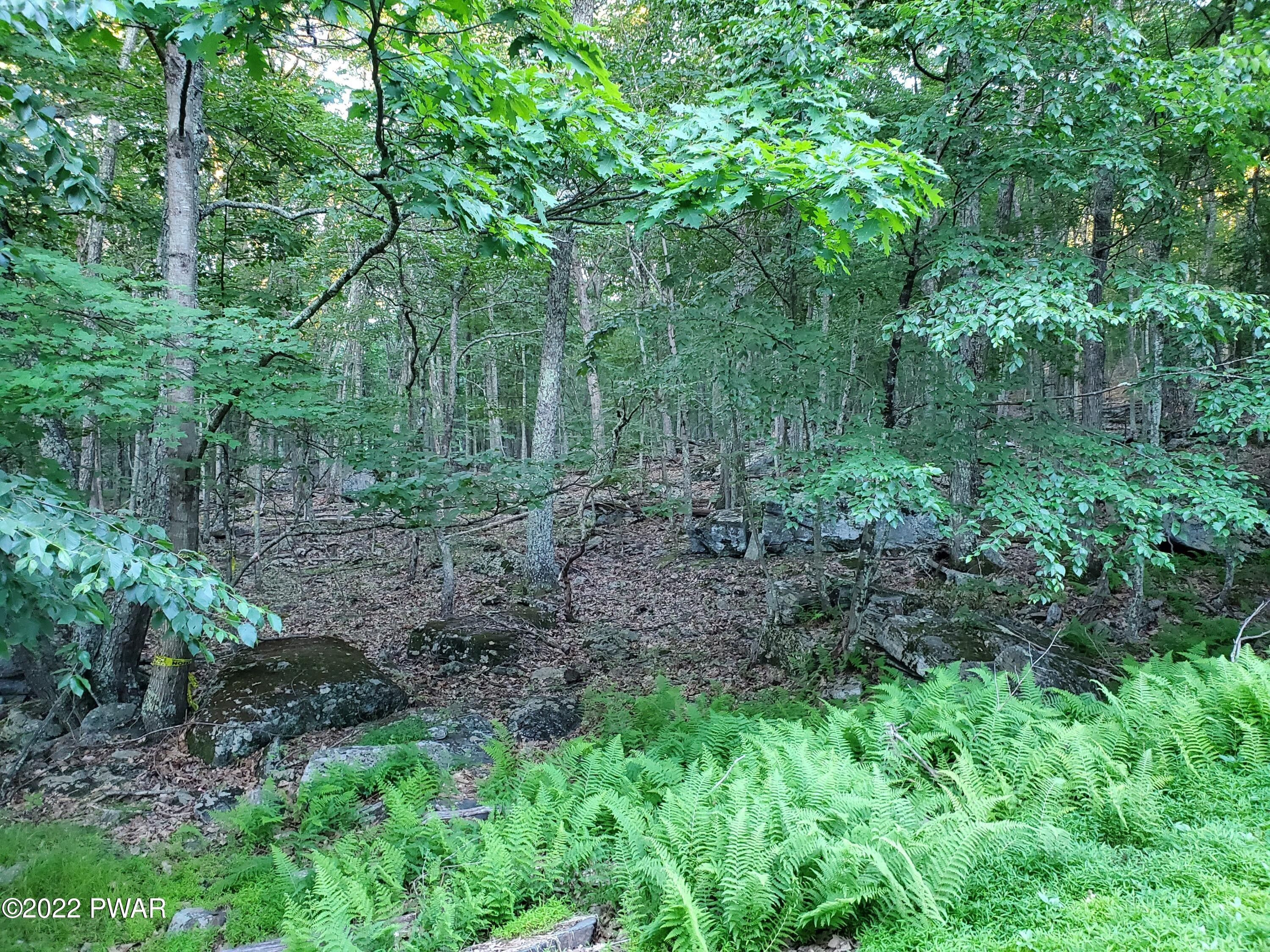 Hawley, Pike County, PA Undeveloped Land, Lakefront Property