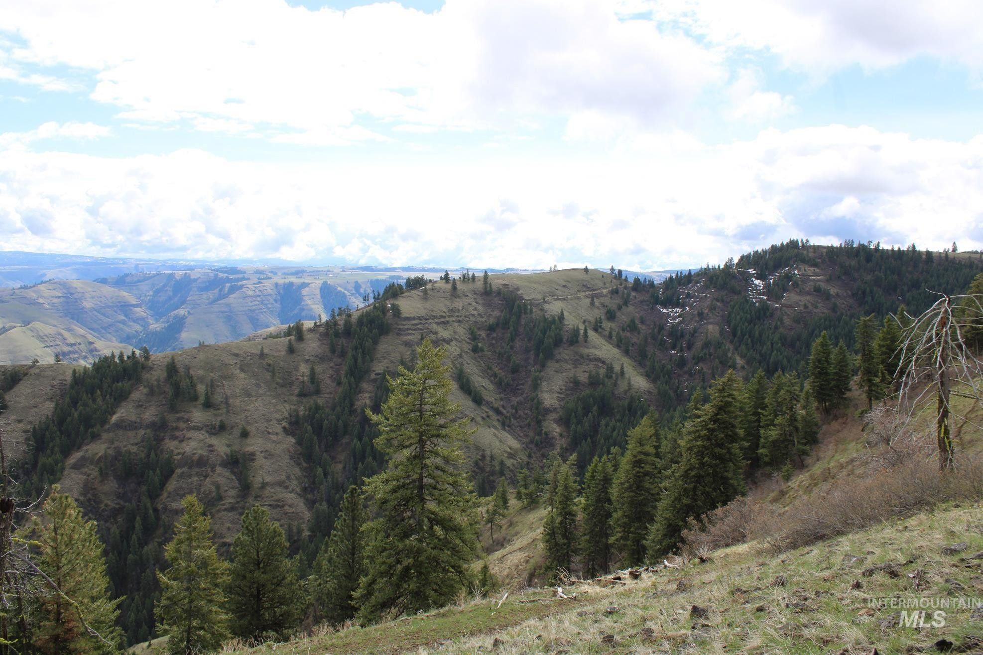 Cottonwood, Idaho County, ID Farms and Ranches for sale Property ID