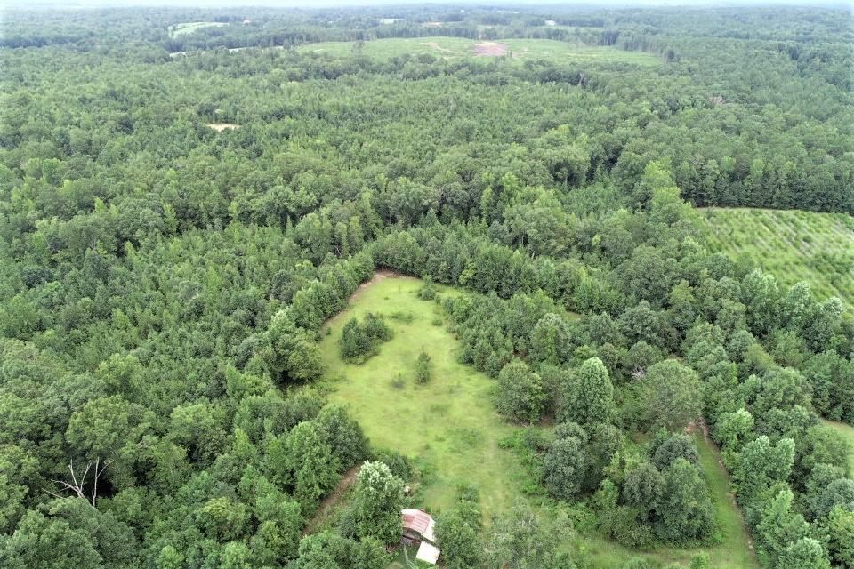 Forsyth, Monroe County, GA Recreational Property, Timberland Property