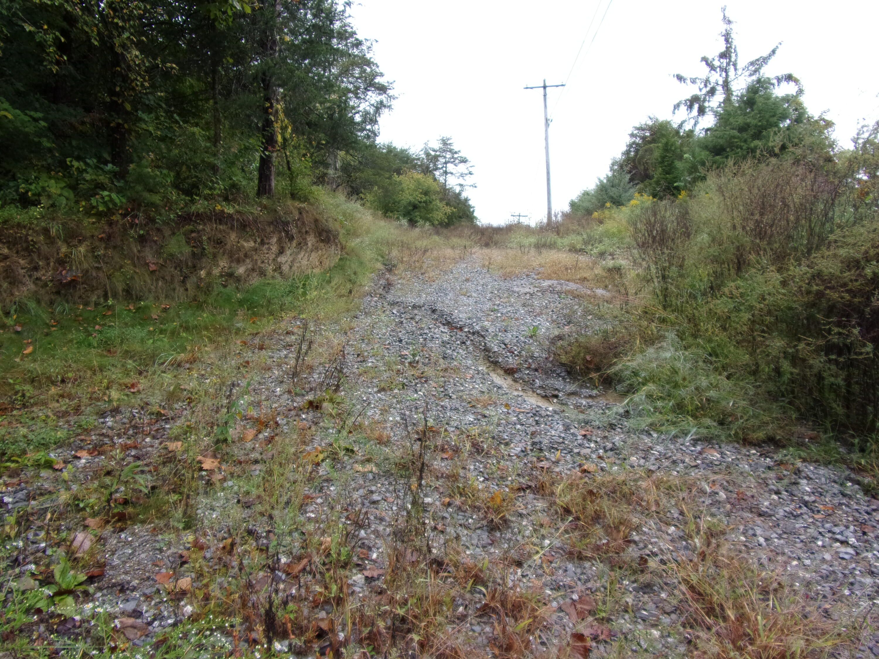 Mosheim, Greene County, TN Undeveloped Land for sale Property ID