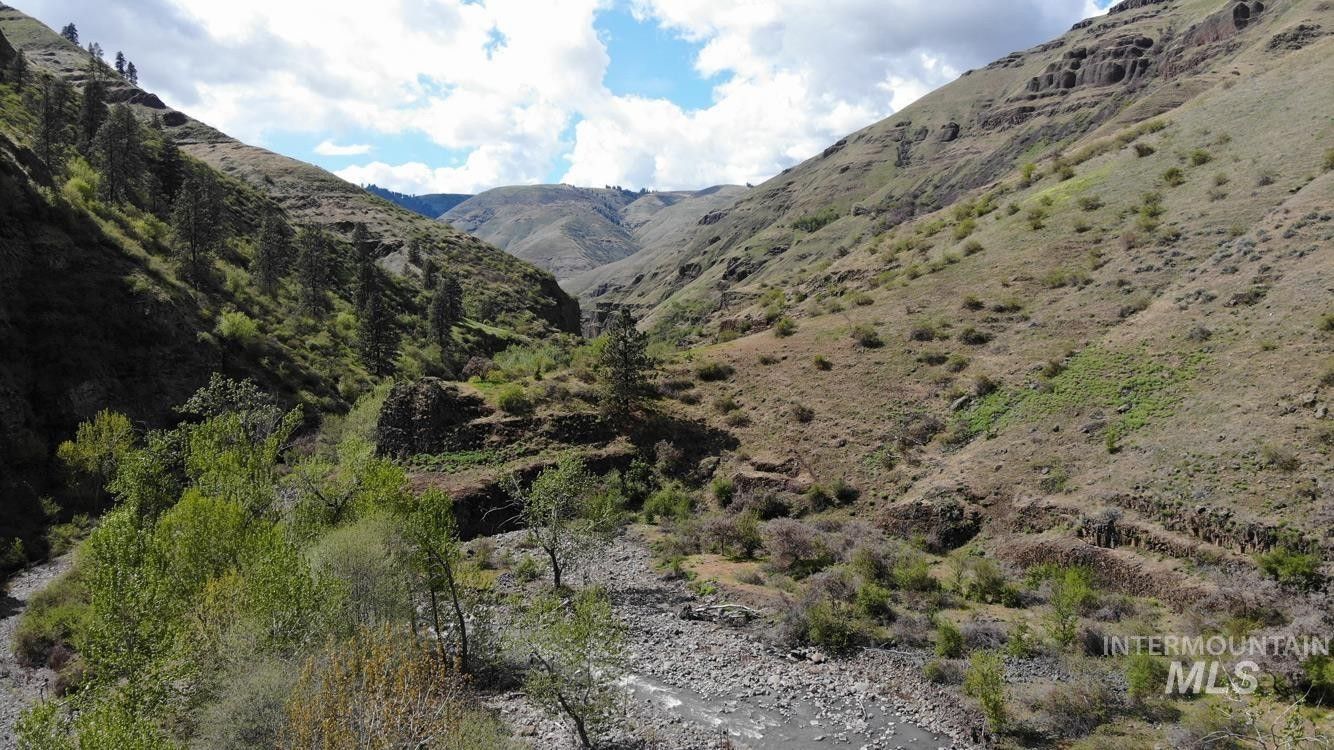 Cottonwood, Idaho County, ID Undeveloped Land, Lakefront Property