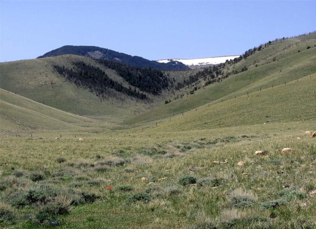 Belfry, Carbon County, MT Undeveloped Land for sale Property ID