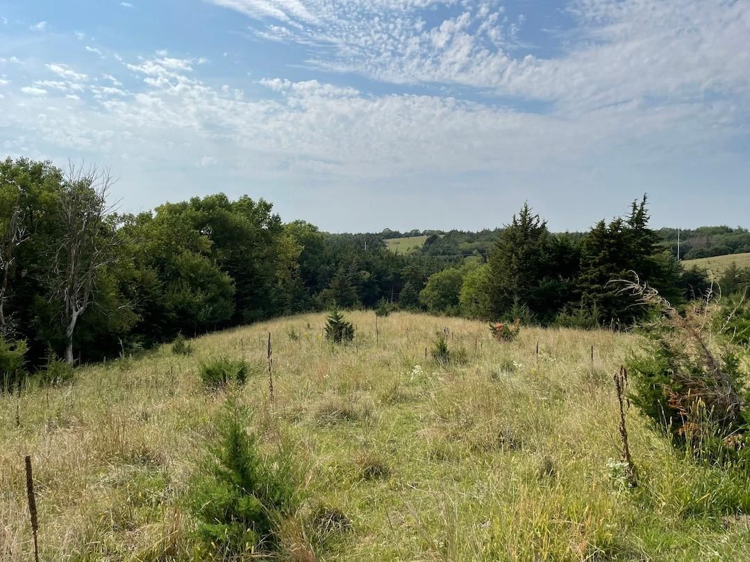 David City, Butler County, NE Farms and Ranches, Recreational Property