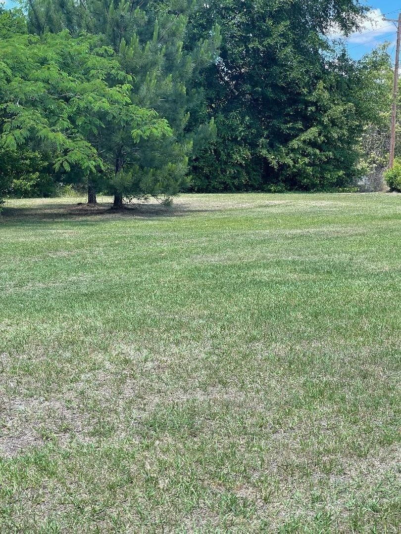 East Dublin, Laurens County, GA Undeveloped Land for sale Property ID