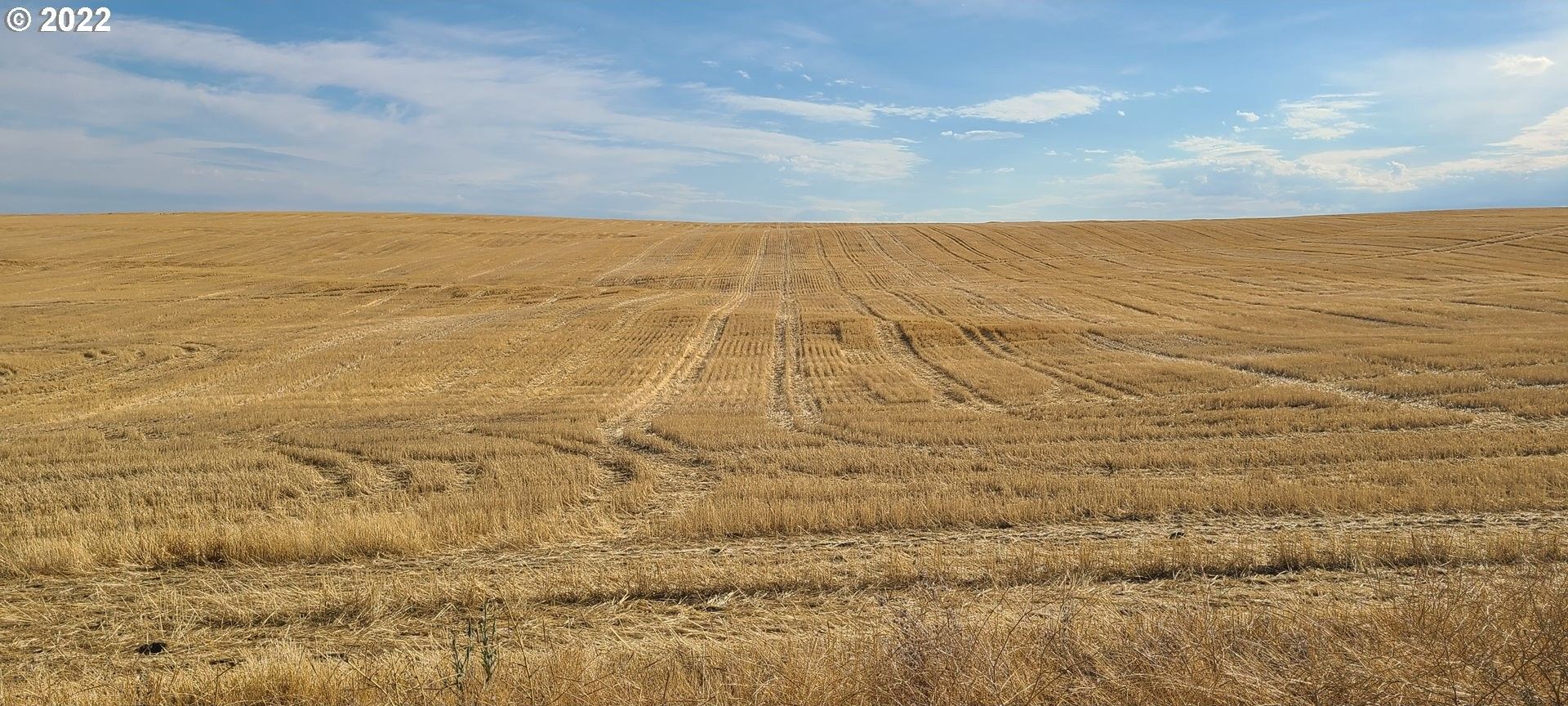 Grass Valley, Sherman County, OR Farms and Ranches for sale Property ID