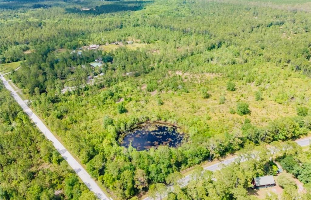 Pierson, Volusia County, FL Farms and Ranches for sale Property ID