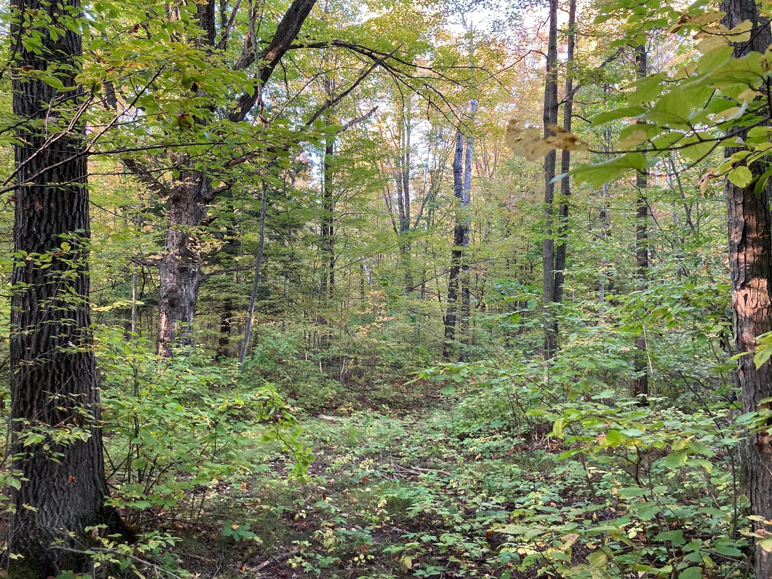 Mosinee, Marathon County, WI Farms and Ranches, Hunting Property for