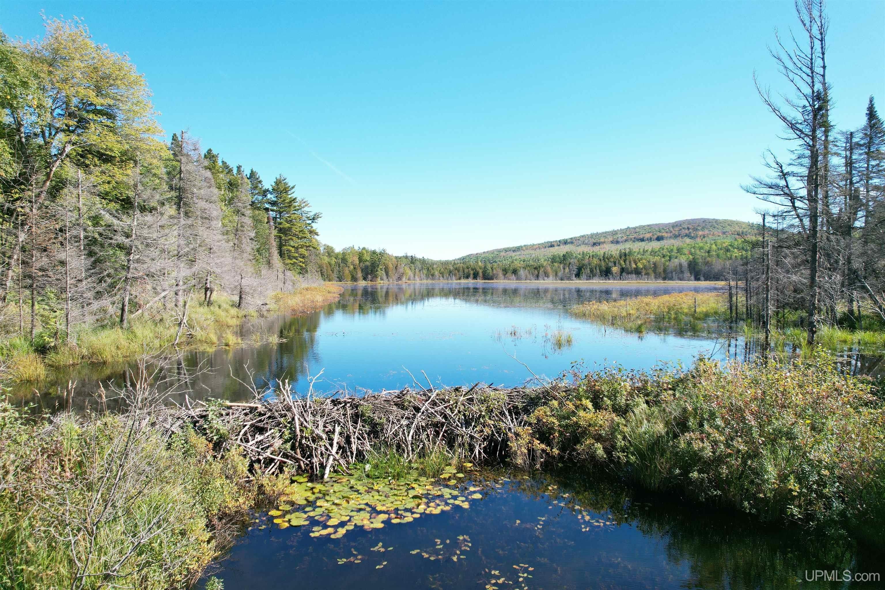 Copper Harbor, Keweenaw County, MI Farms and Ranches, Lakefront