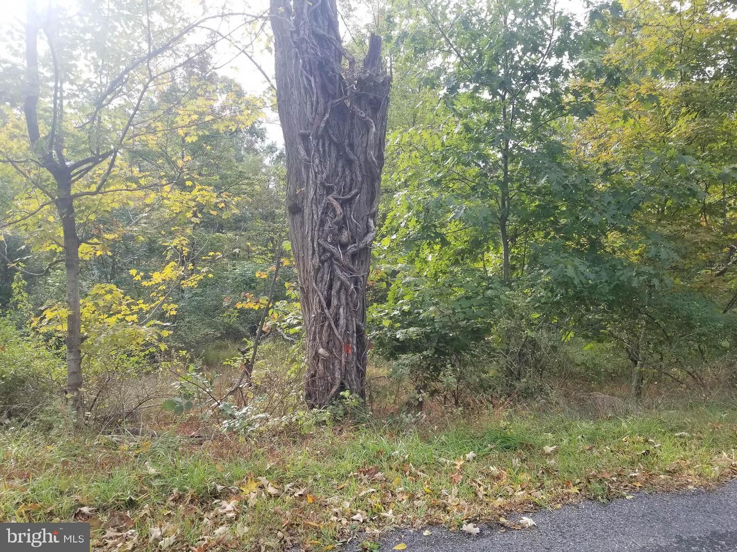 Flintstone, Allegany County, MD Farms and Ranches for sale Property ID