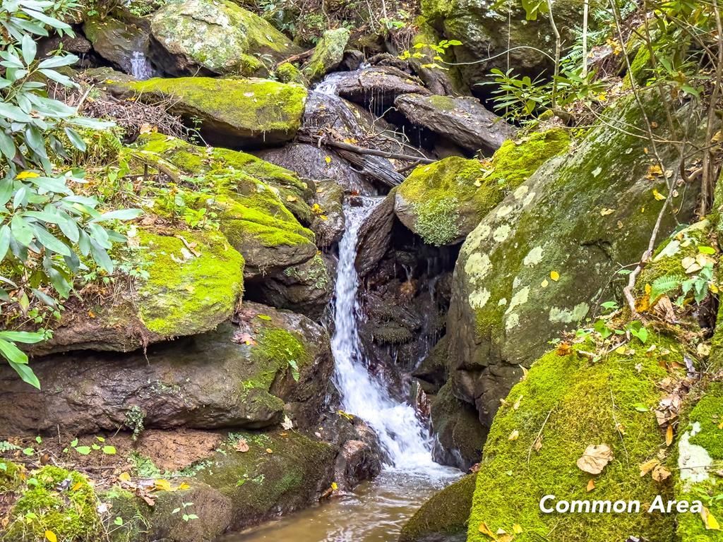 Starry Nights Drive, Fancy Gap, VA 24328 MLS 84419 LandWatch