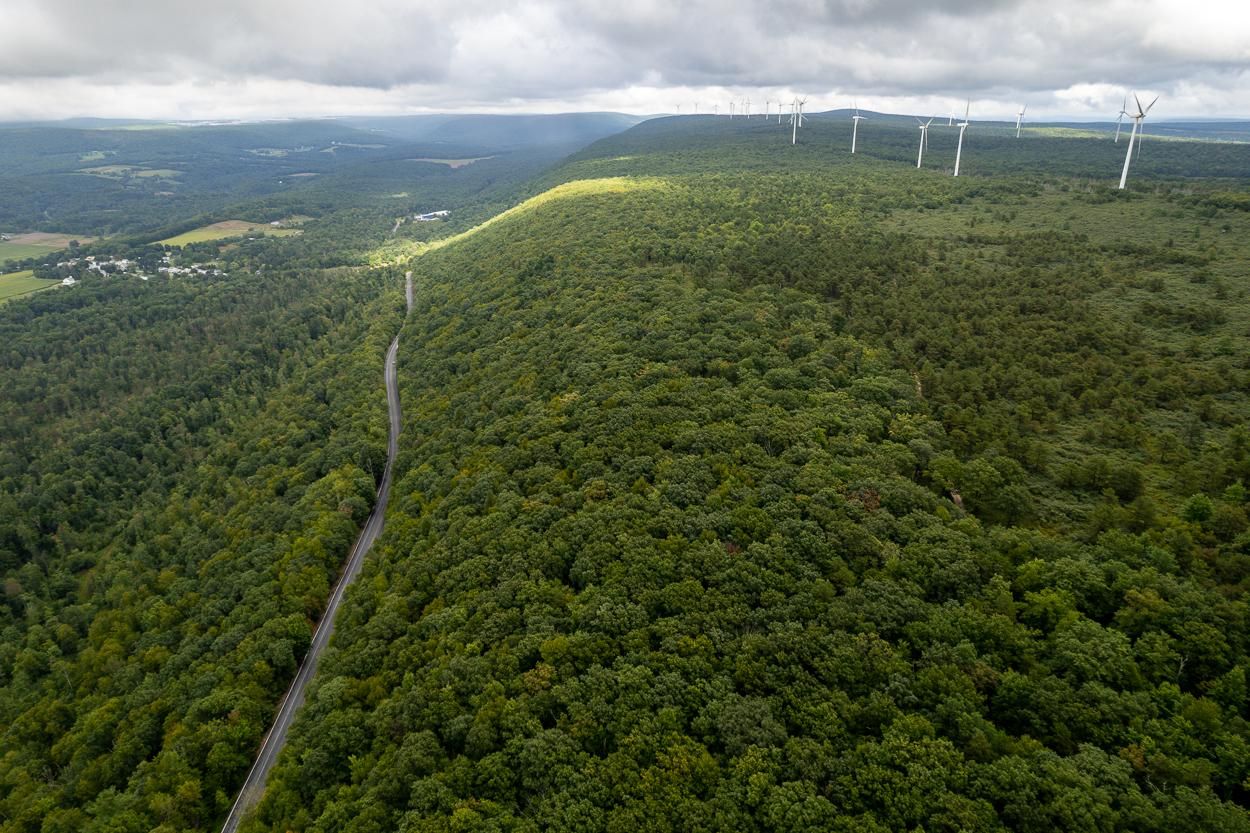 Ringtown, Schuylkill County, PA Recreational Property, Timberland