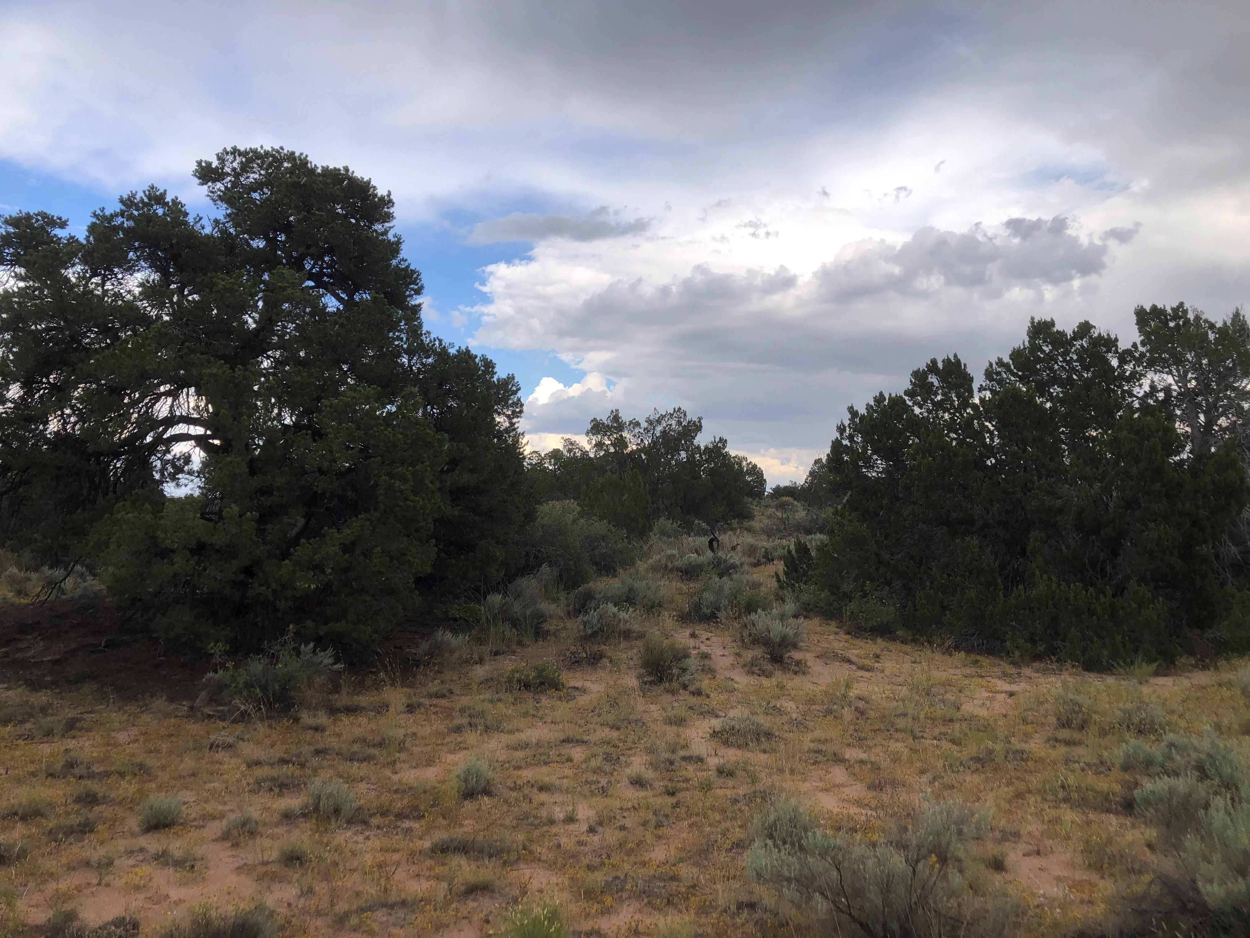 Saint Johns, Apache County, AZ Recreational Property, Hunting Property