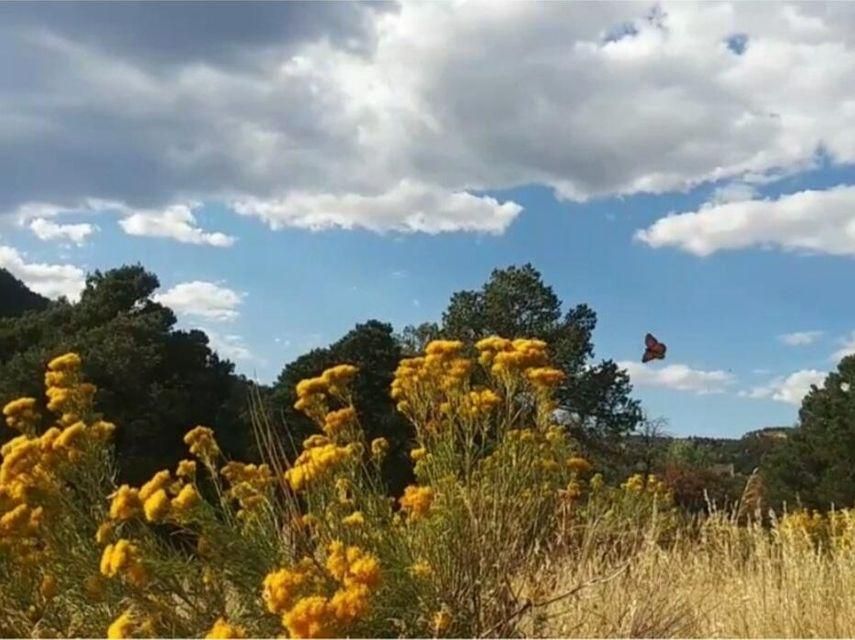 Trinidad, Las Animas County, CO Recreational Property, Undeveloped Land