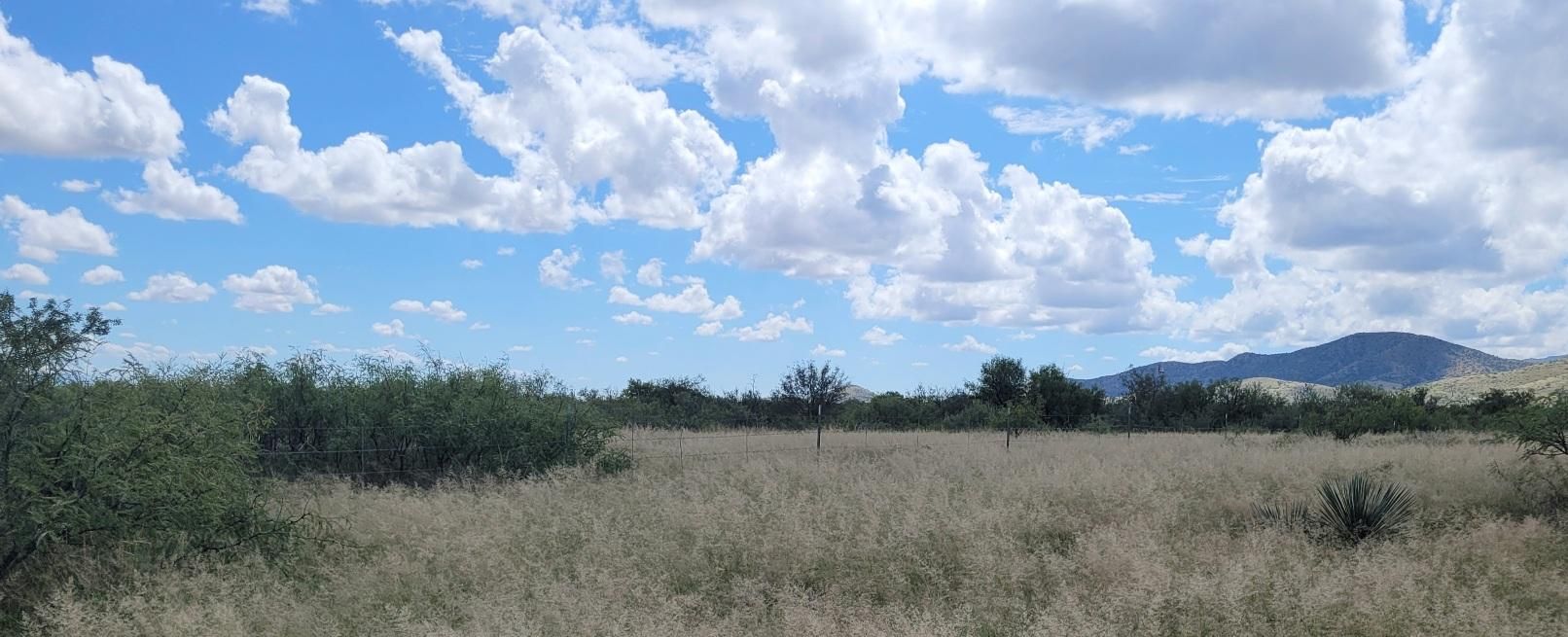 Cochise, Cochise County, AZ Recreational Property, Undeveloped Land