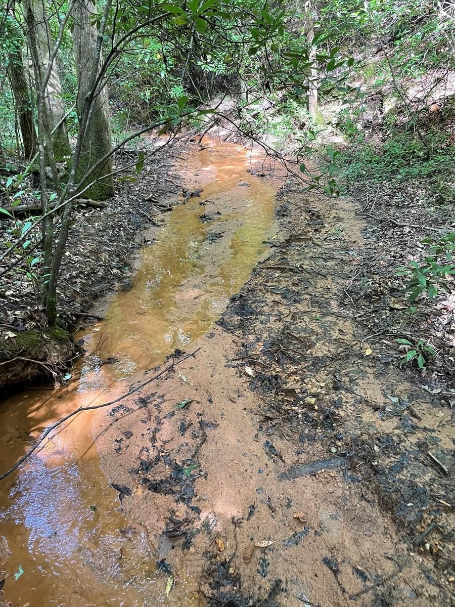 0 Opp Hwy, Brantley, AL 36009 MLS 0102422076 LandWatch