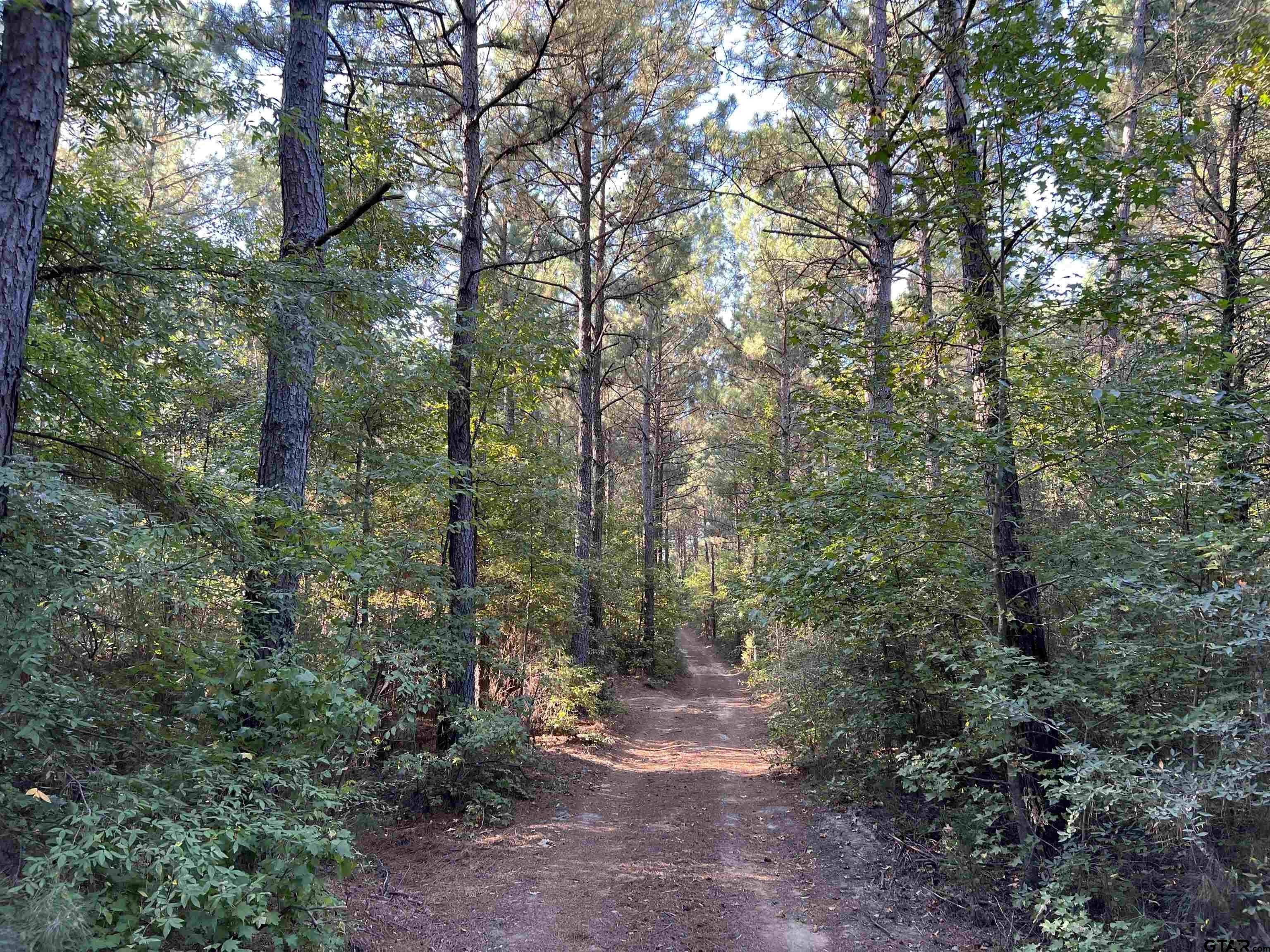 Naples, Cass County, TX Undeveloped Land for sale Property ID