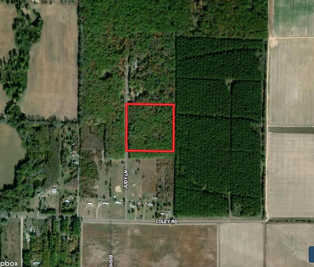 Mcrae, White County, AR Recreational Property, Undeveloped Land for