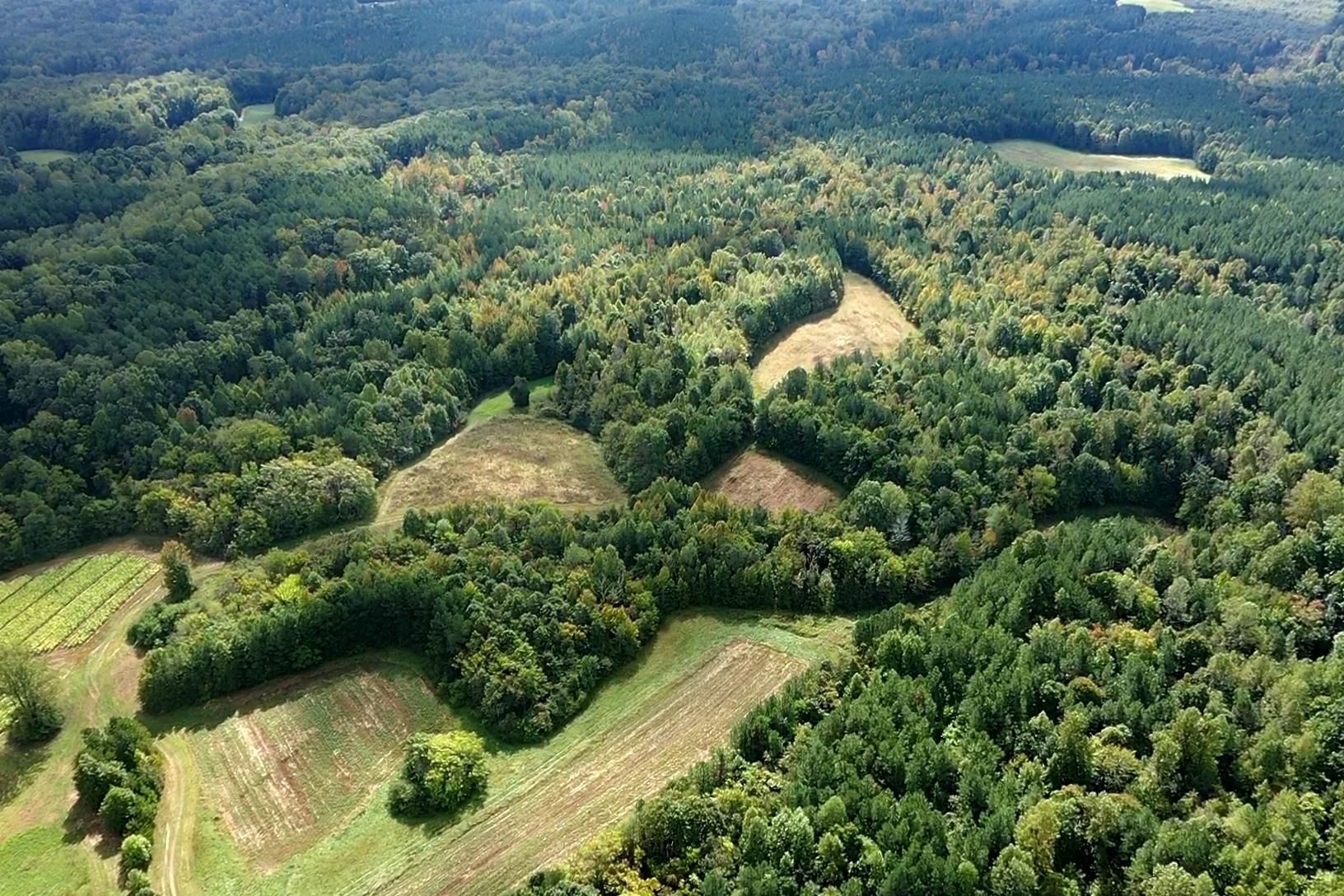 Ruffin, Caswell County, NC Farms and Ranches, Recreational Property