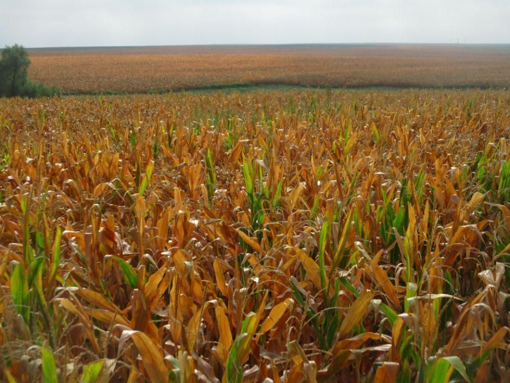 Summerfield, Marshall County, KS Farms and Ranches, Undeveloped Land