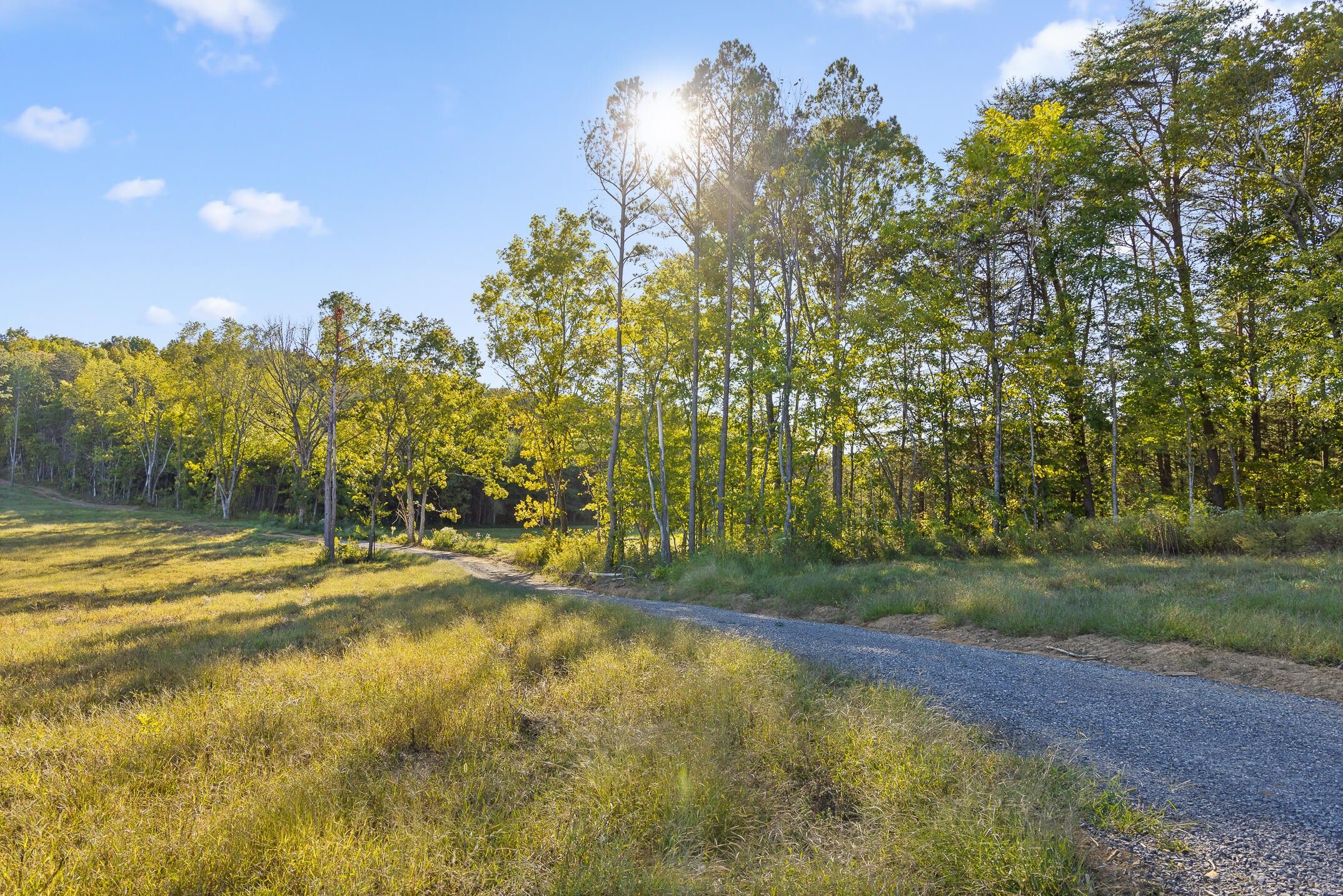 Hamilton County, TN Undeveloped Land for sale Property ID