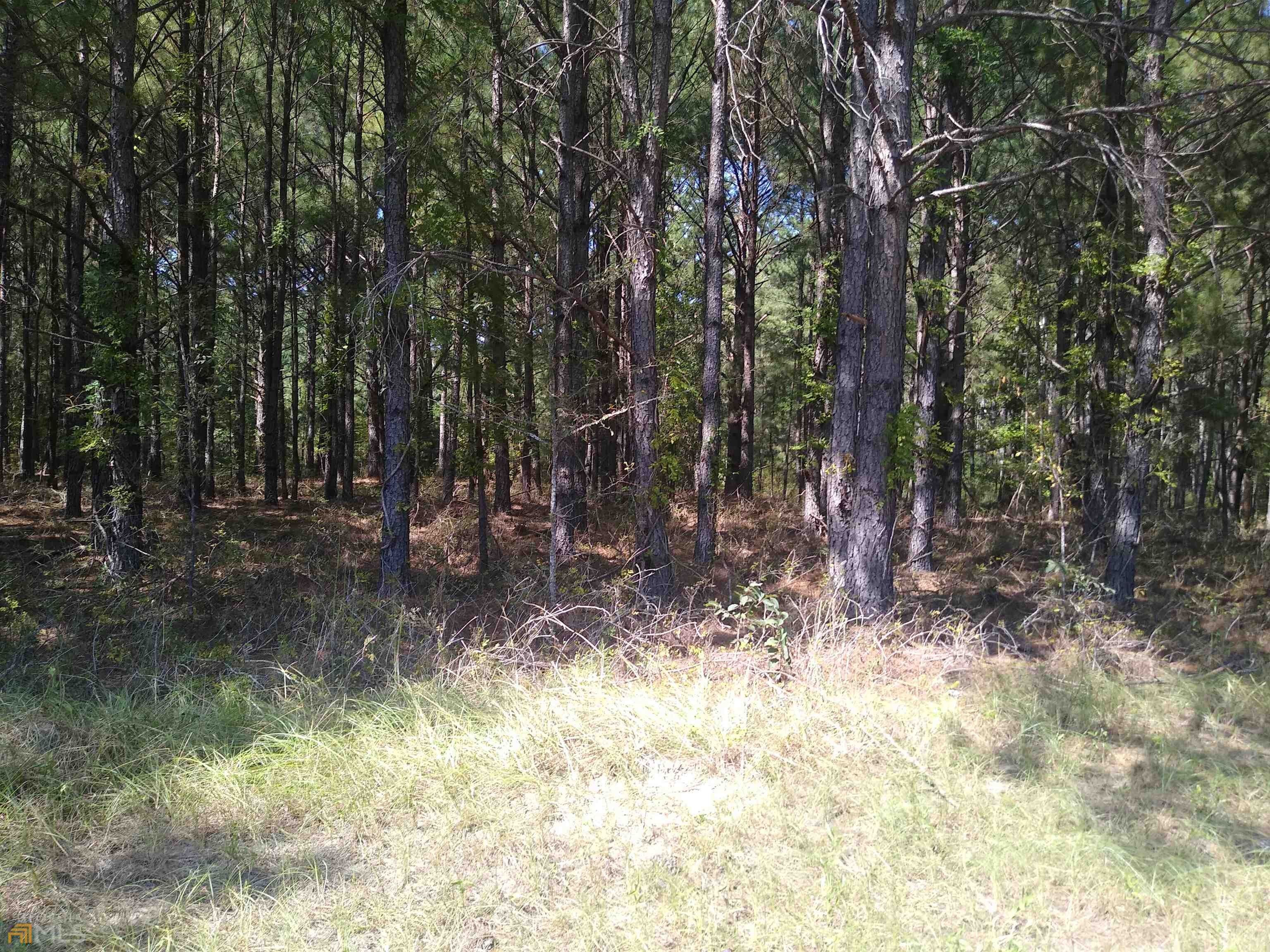 Wrightsville, Johnson County, GA Undeveloped Land for sale Property ID